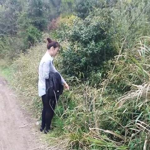 在雨中醒来