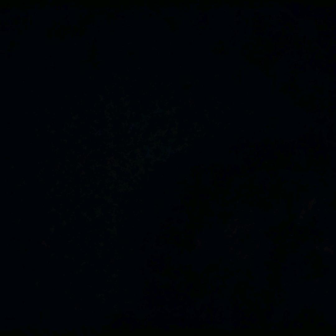 0000