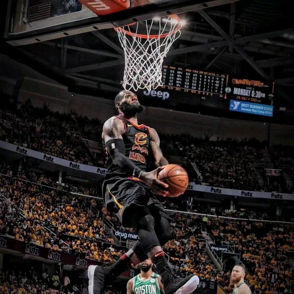 池塘里的小青蛙