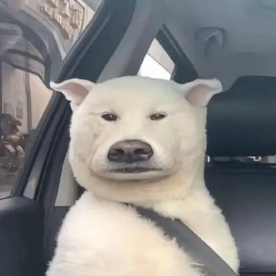 左天辰天天开心好运连连