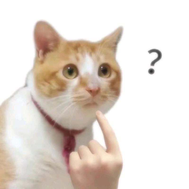 今夜星光闪闪