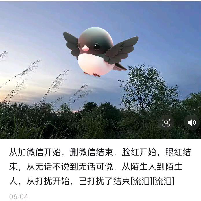 叶秋