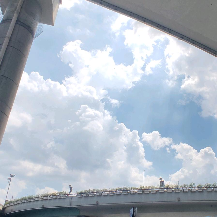 Ben咖灰和别司忌