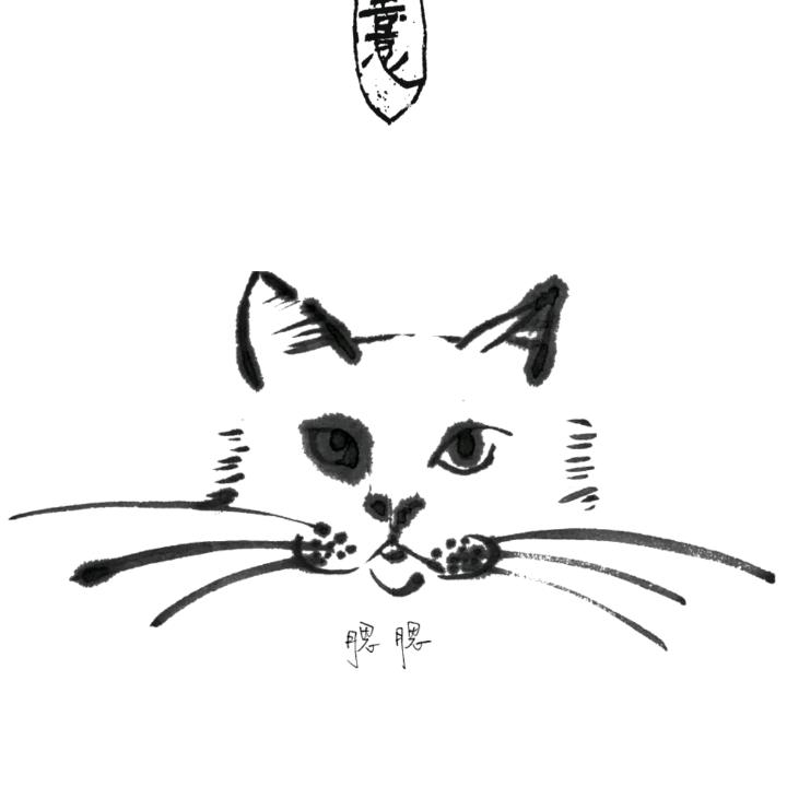 XXXx～（见过王源三次版）