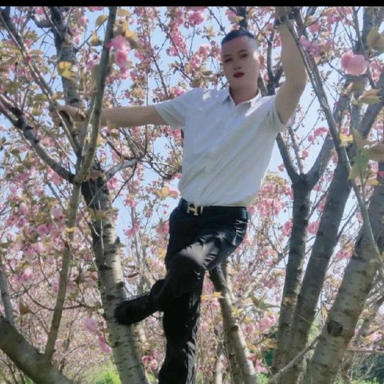 高原流浪者🙏小军哥