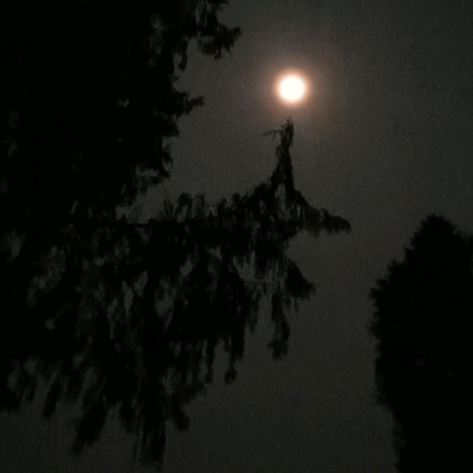 为爱依剑走天涯