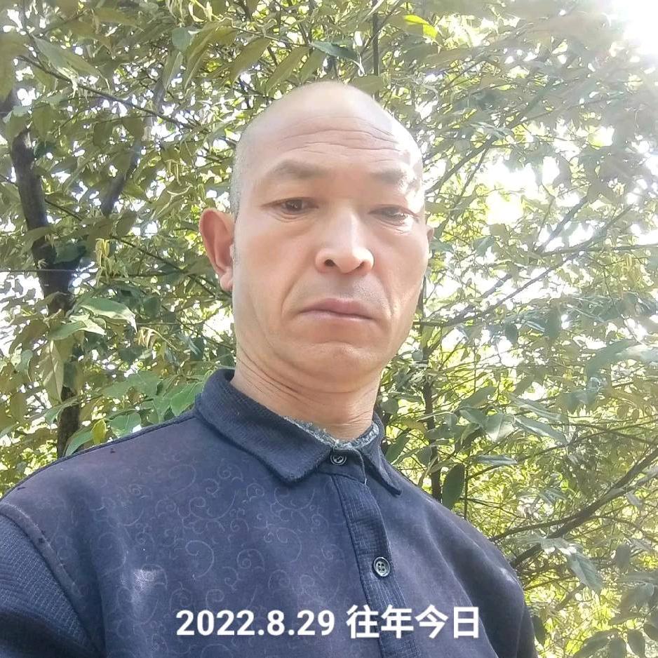 流浪一生不疋时开播《618》