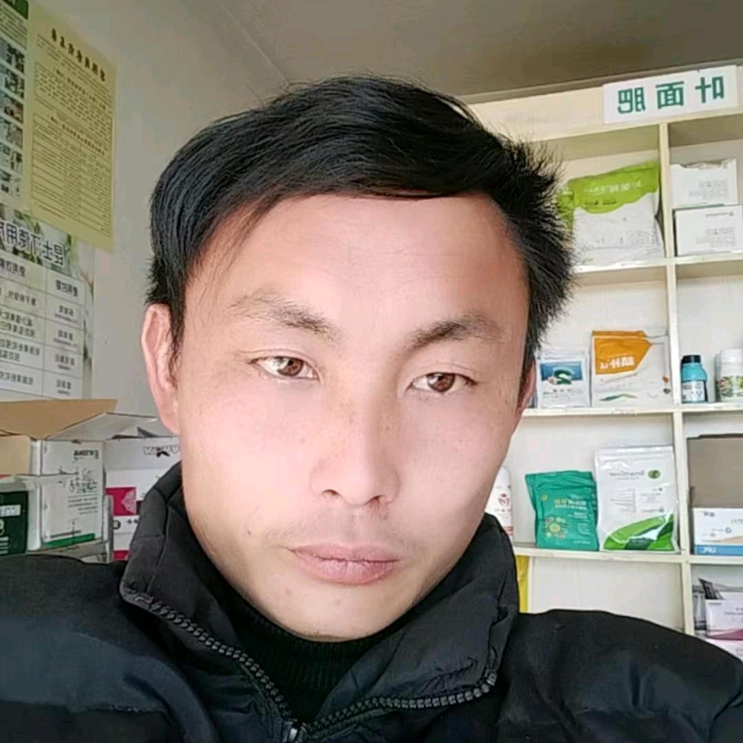 小葡园农业何飞