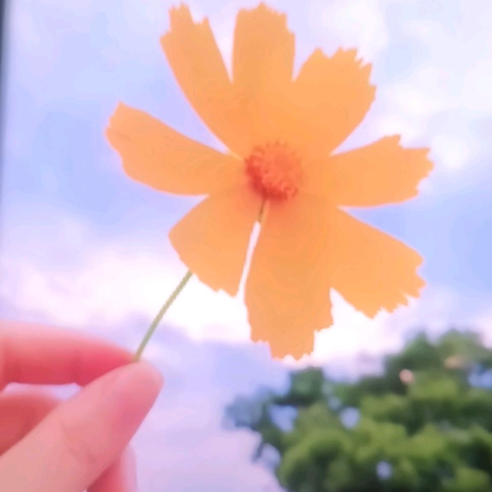 寻欢（可私聊）