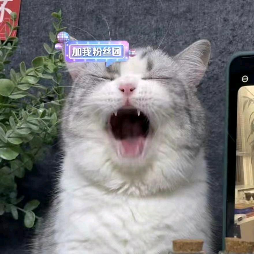 玩沙子的龙飞老师