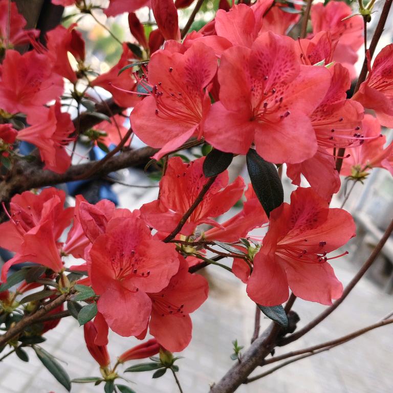 这些年我们怎么了