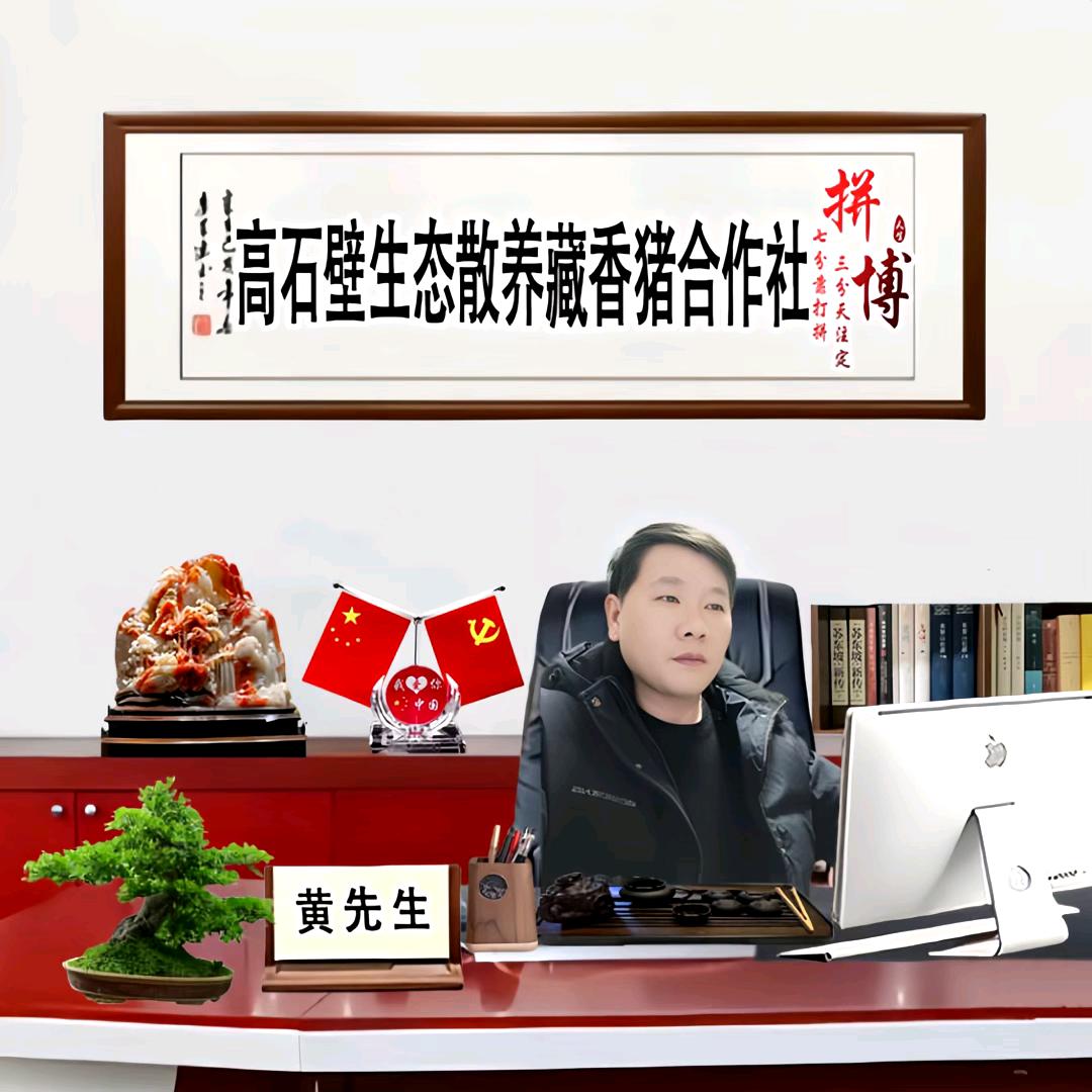 黄帝，高石壁藏香猪生态散养