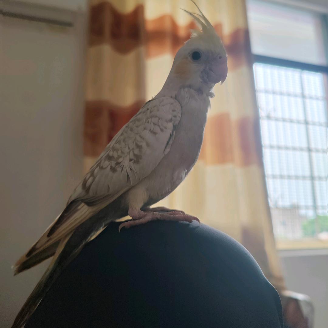 差点余生都是你