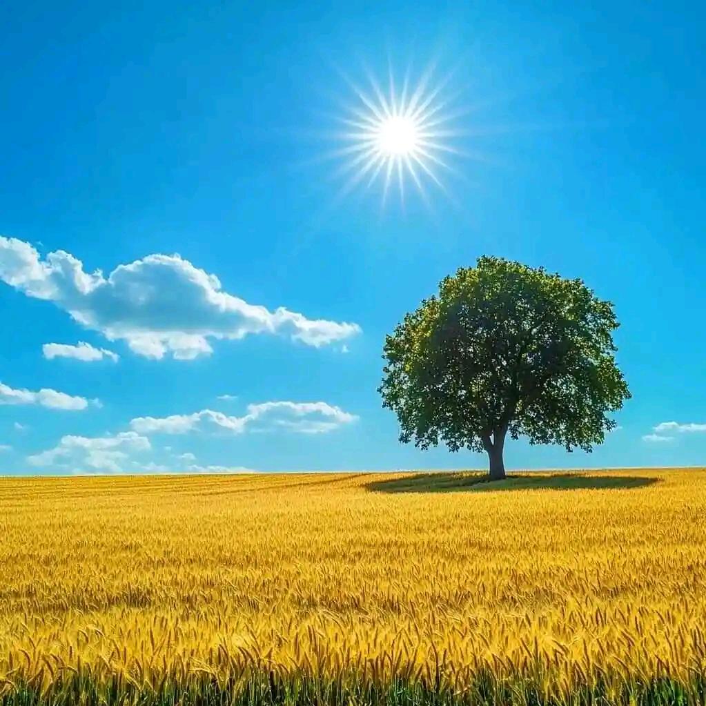 丰收的季节！！！