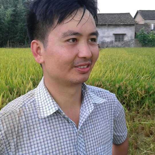 背叠两上滴老章