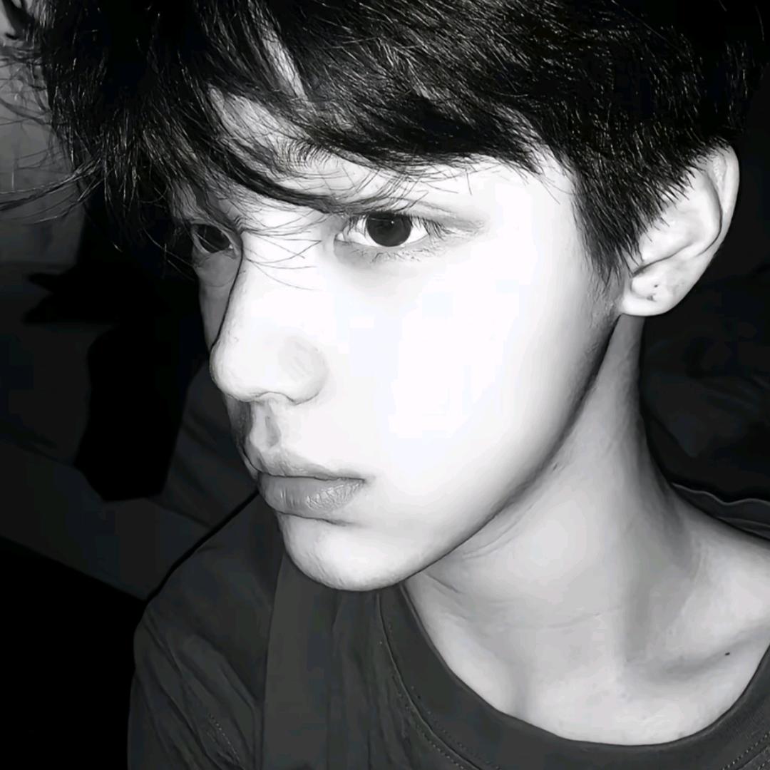 可乐味小狗