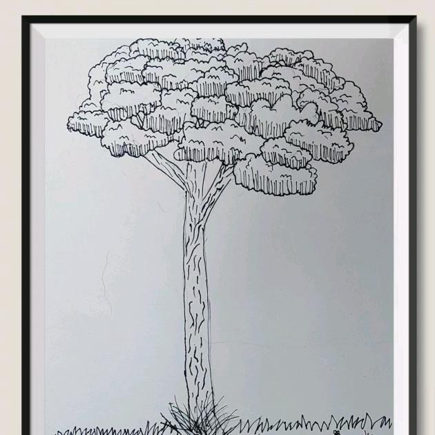 ･☆小纽扣 🌷