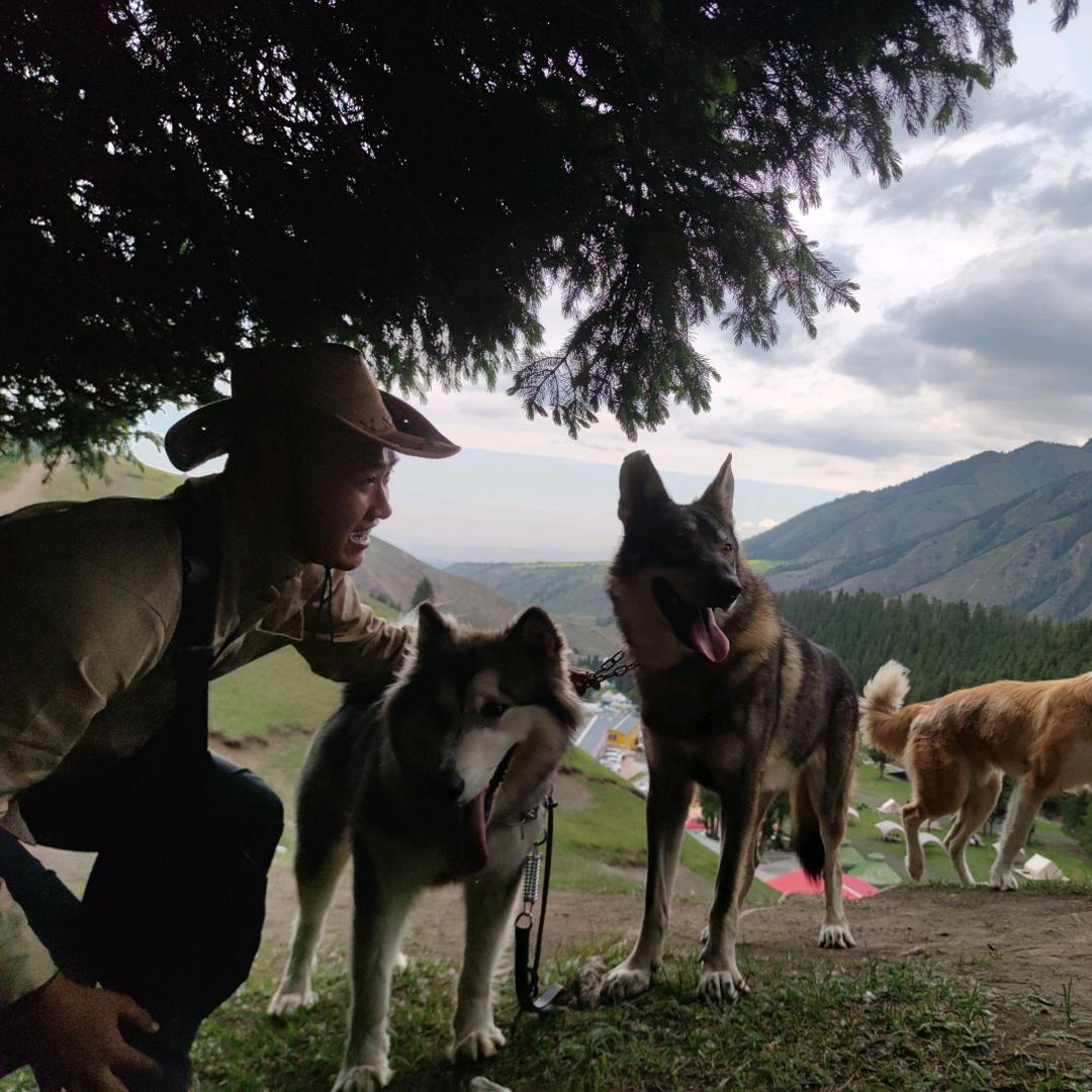 流浪的牧狼人啊