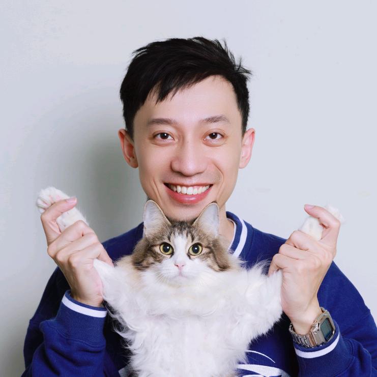 南弟陪你养猫