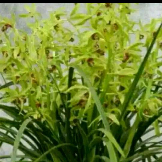 家和万事兴