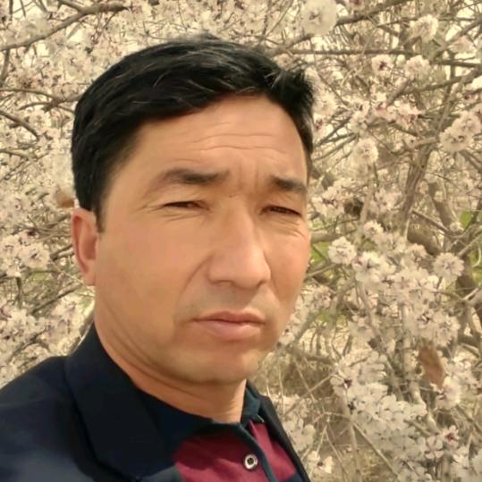 艾尼•吐尔逊。