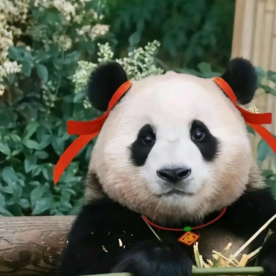 套房出租！