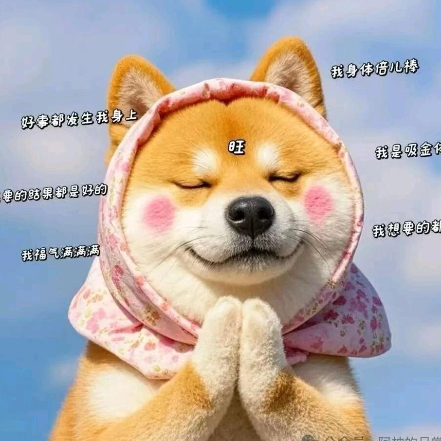 摸鱼抓虾