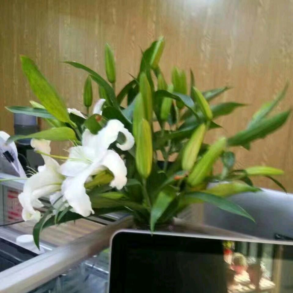 天涯