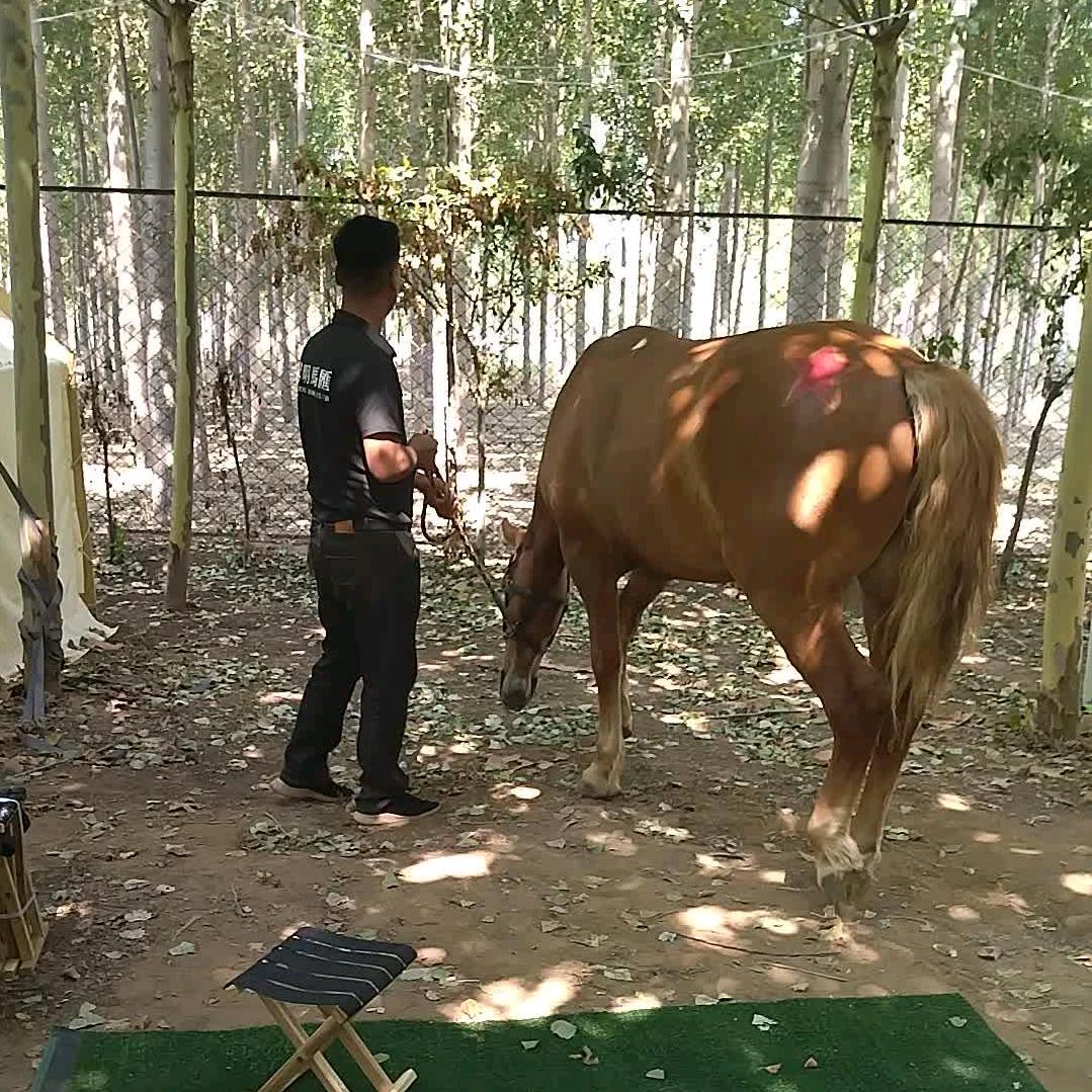 奋斗的人