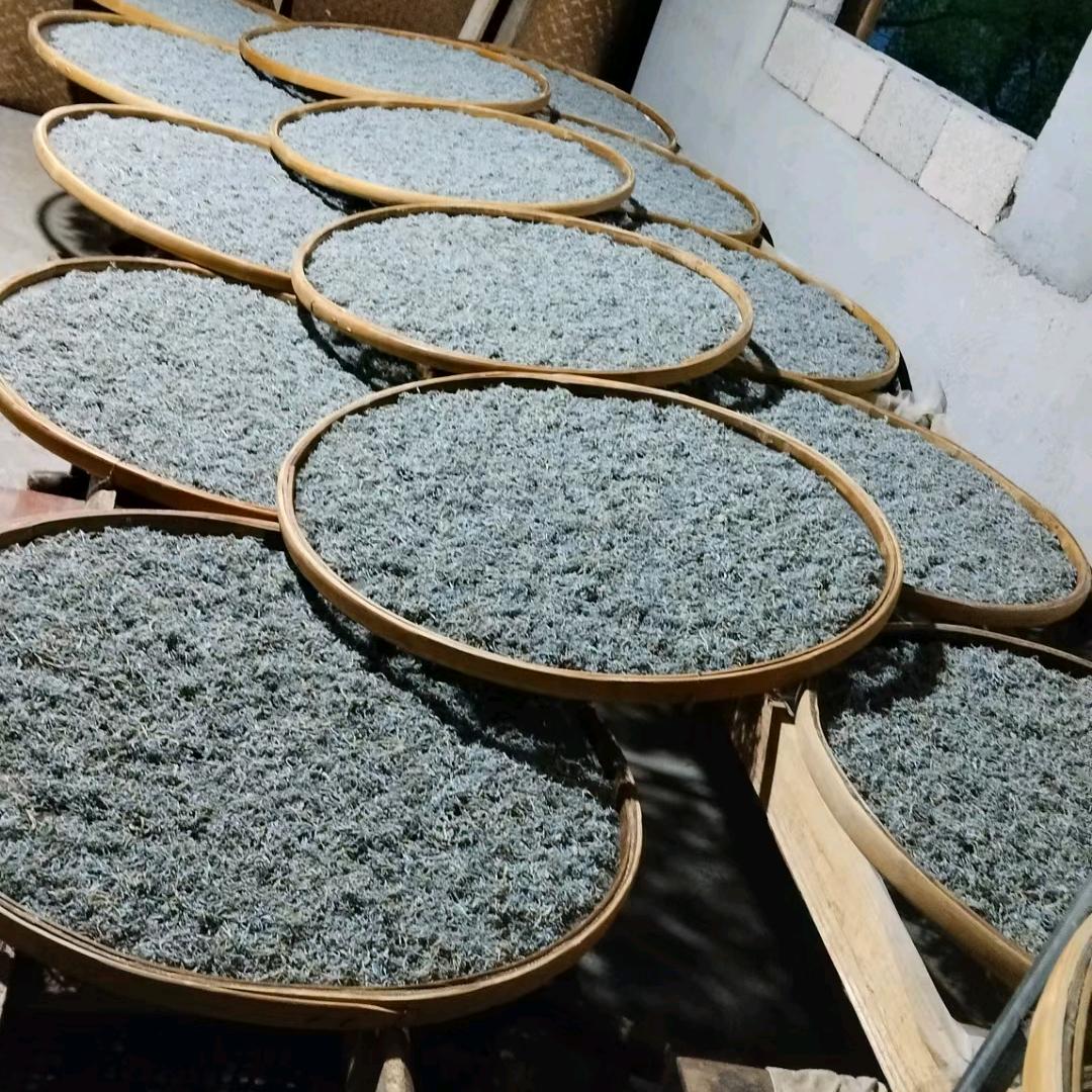 小草草儿