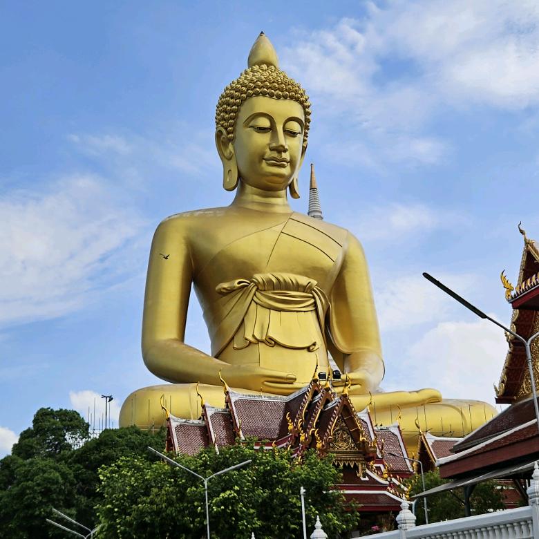 BOSS泰国🇹🇭大象旅行