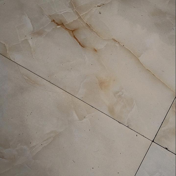 体力—阿飞