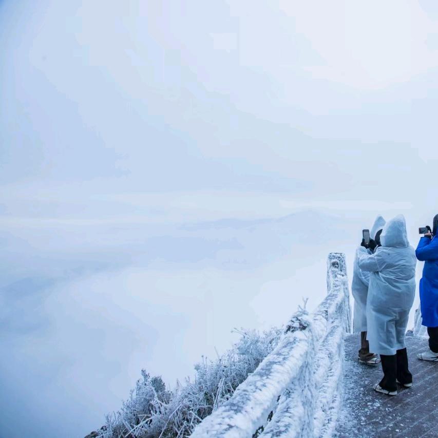 小鹿亂撞𝒞𝒸