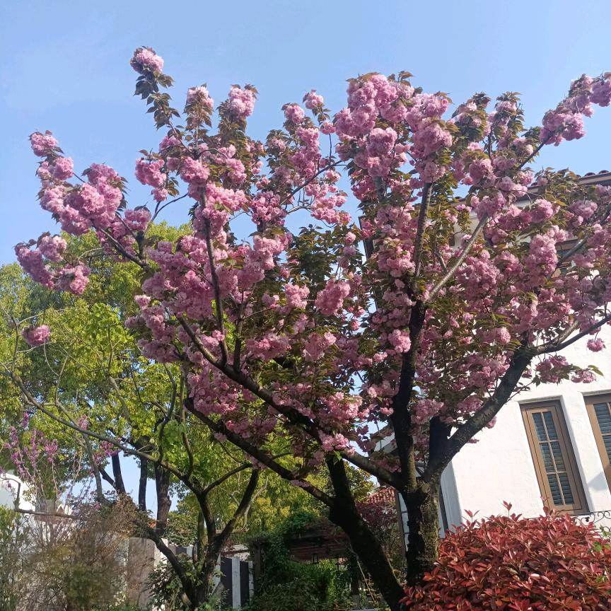 李