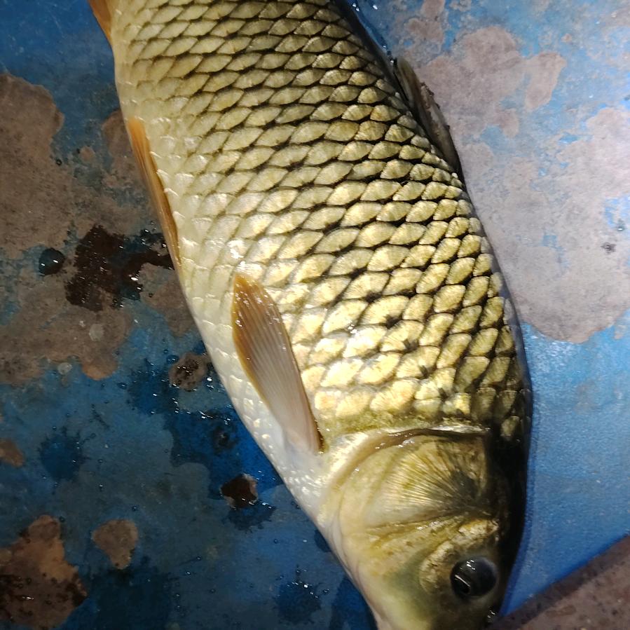 （小罗）🦋এ᭄姜8668383罗ꦿ33