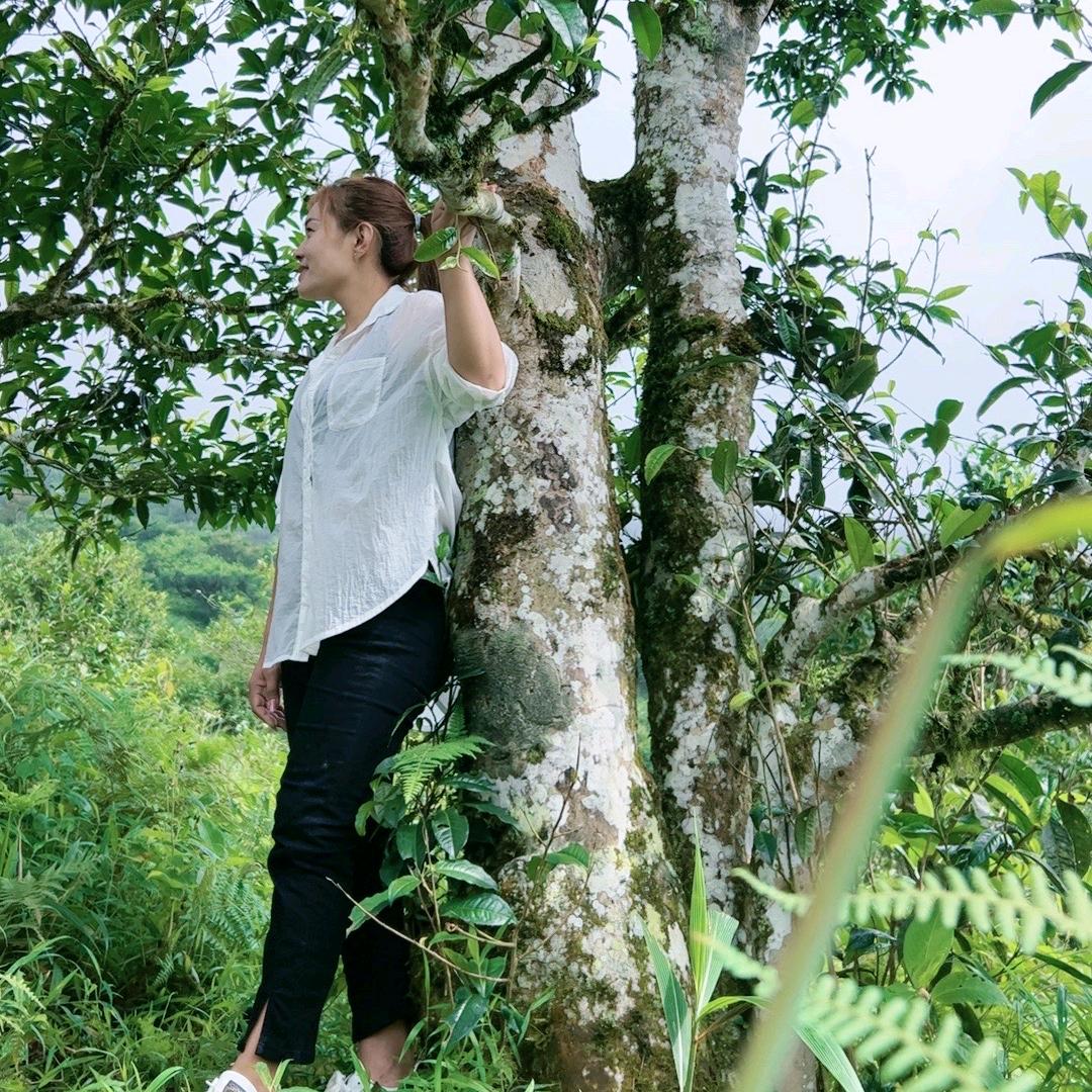 普洱茶姑娘🍃