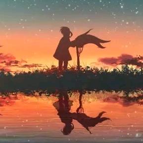浔影说数