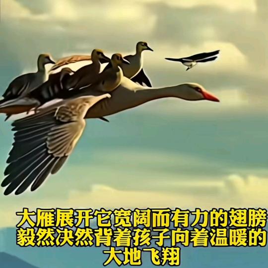 映然