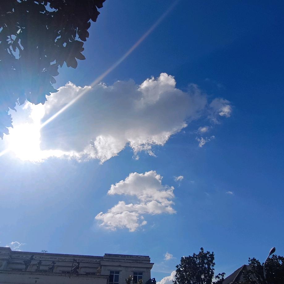 1150391426（今日上线明天必关