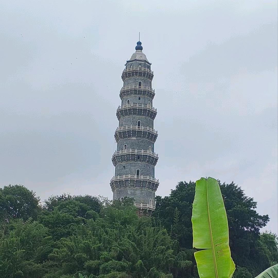 新鲜水果