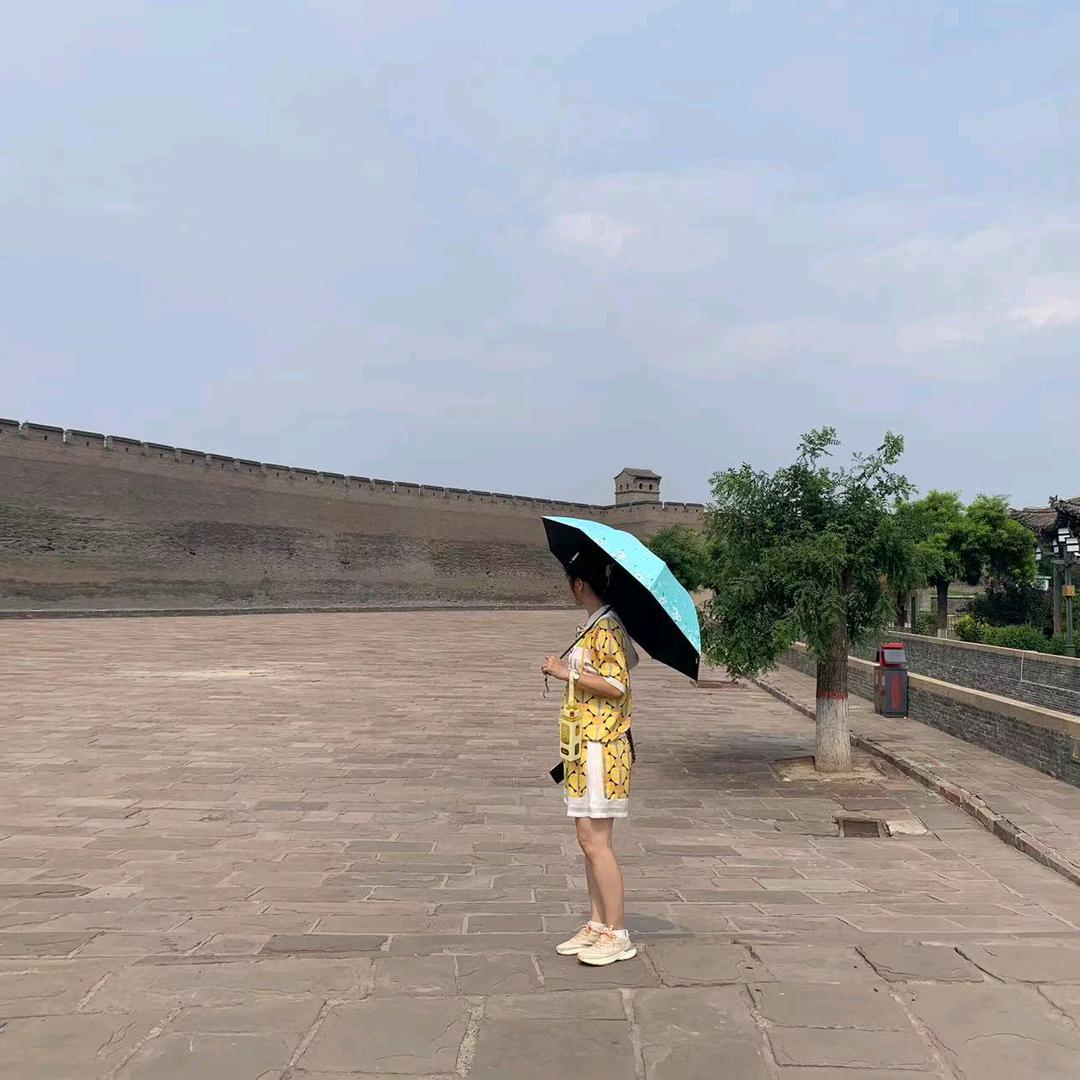布噜给佳