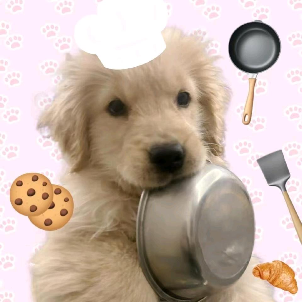 会飞的大米饭🍚