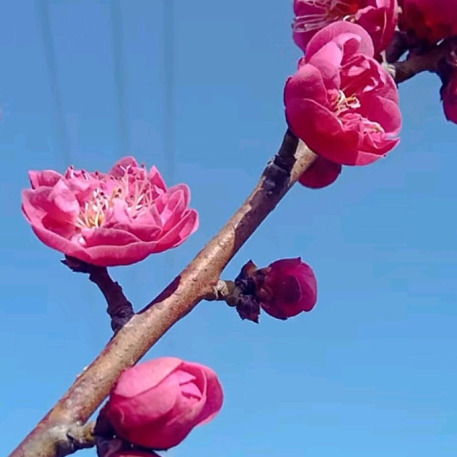 行云流水