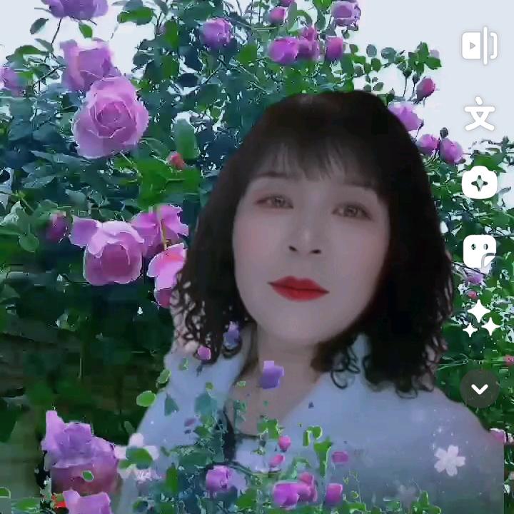 四季花开