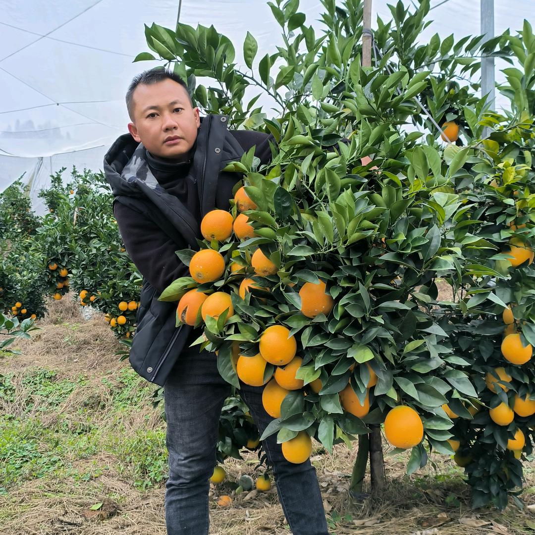 壹粒橙🇨🇳农业