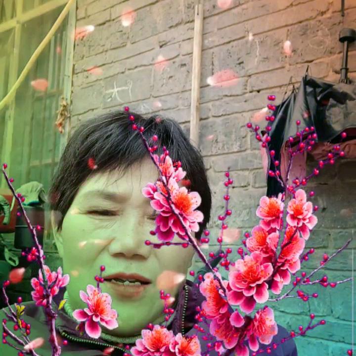 崔《》美