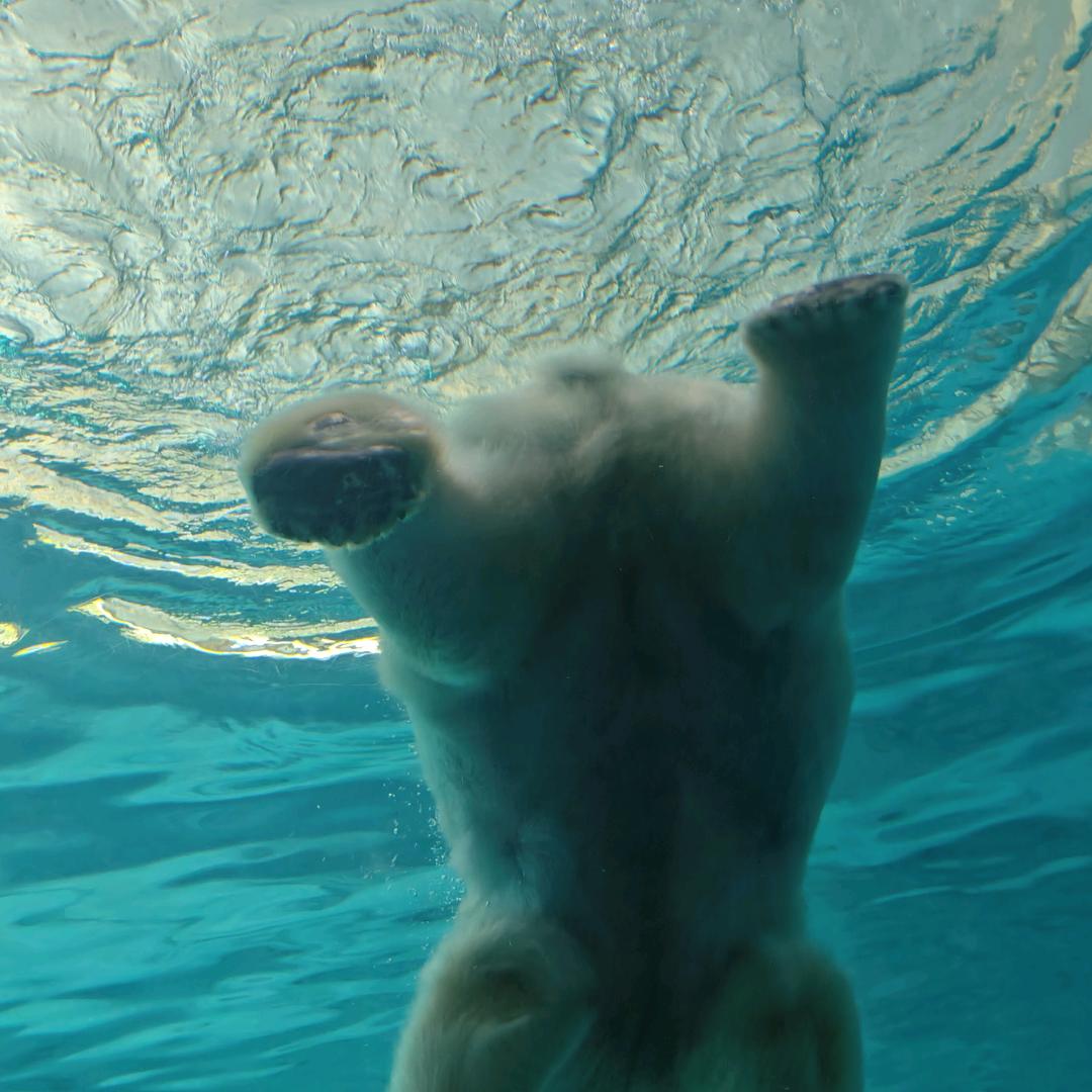 重庆大霖说捷途