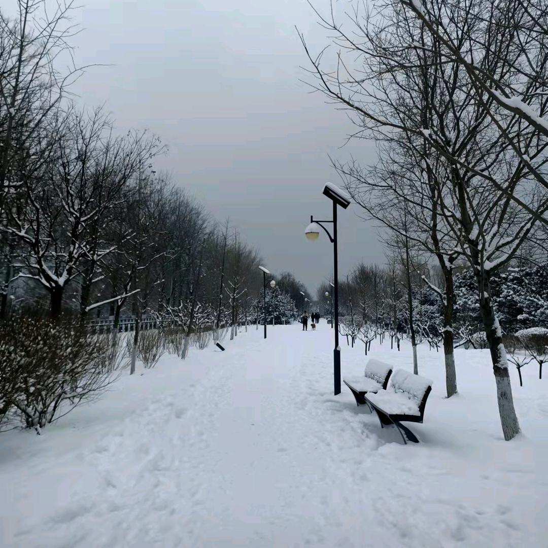 傻丫头
