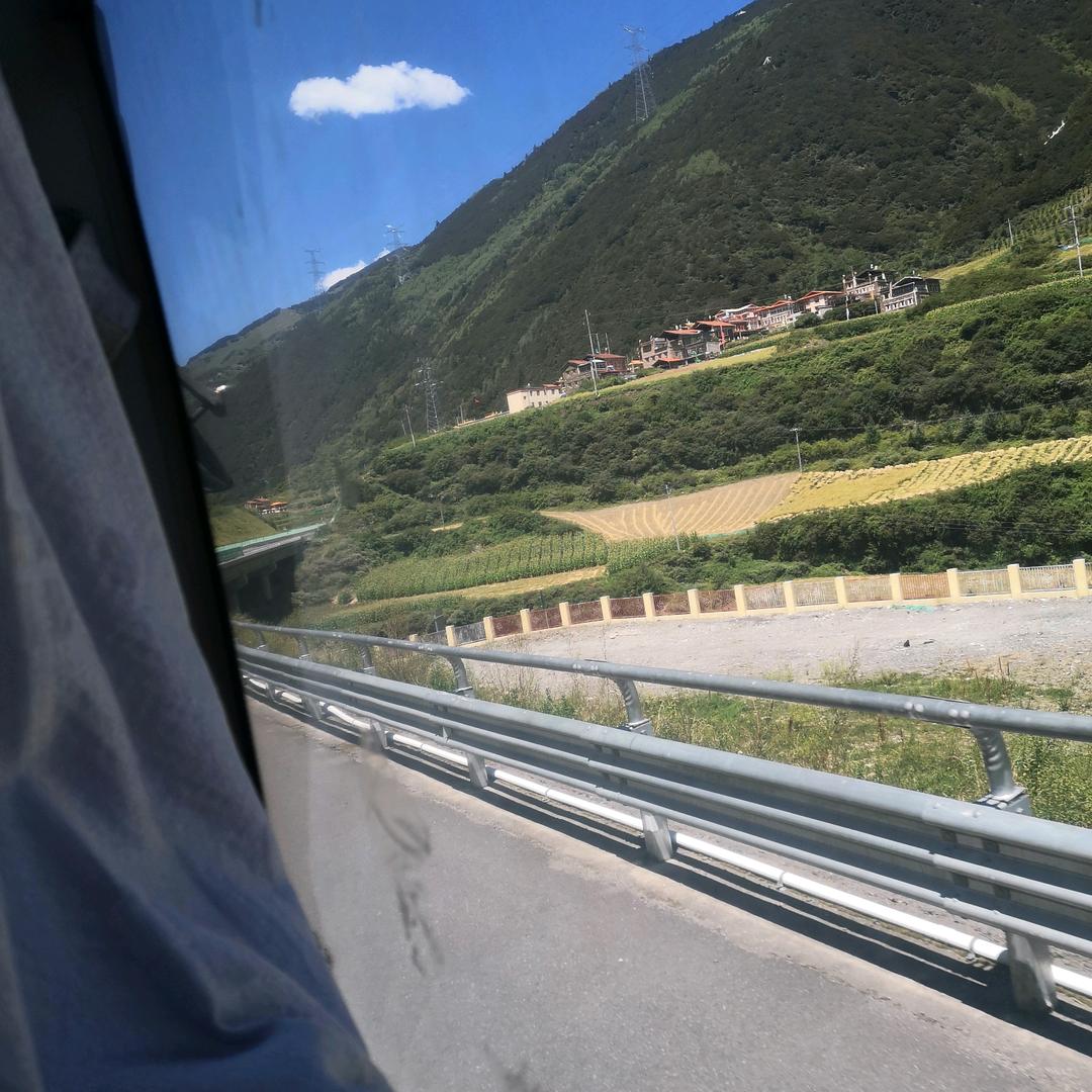 你莫走我要走。