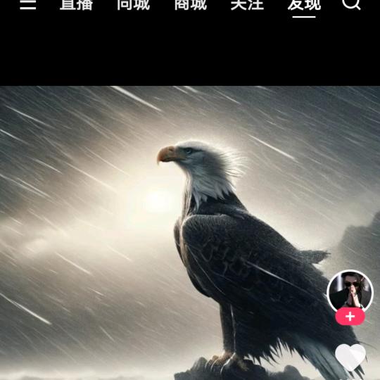 自设